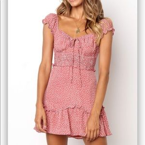 Petal and Pup Swan Dress in Rose